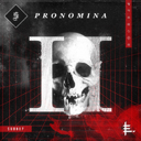 Pronomina II